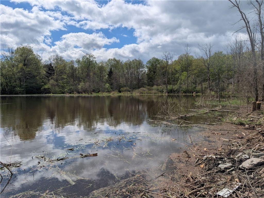 Photo of 5408 State Route 53, Prattsburgh, NY 14512 (MLS # R1665835)