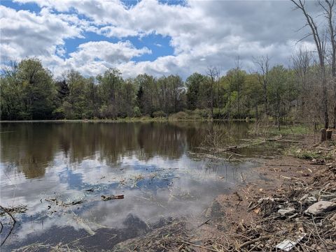 Vacant Land For Sale - 5408 State Route 53<br/> Steuben County, Prattsburgh, NY 14512