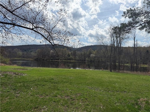 Vacant Land For Sale - 5408 State Route 53<br/> Prattsburgh, NY 14512