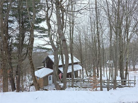 Photo of 613 Sibley Gulf Road, Middlefield, NY 13326 (MLS # R1653419)