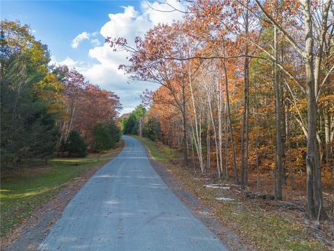 Vacant Land For Sale - Woodland Drive<br/> Jefferson, NY 12093