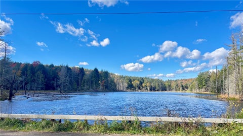 Tiny photo for 474 Hathaway Road, Laurens, NY 13825 (MLS # R1720306)
