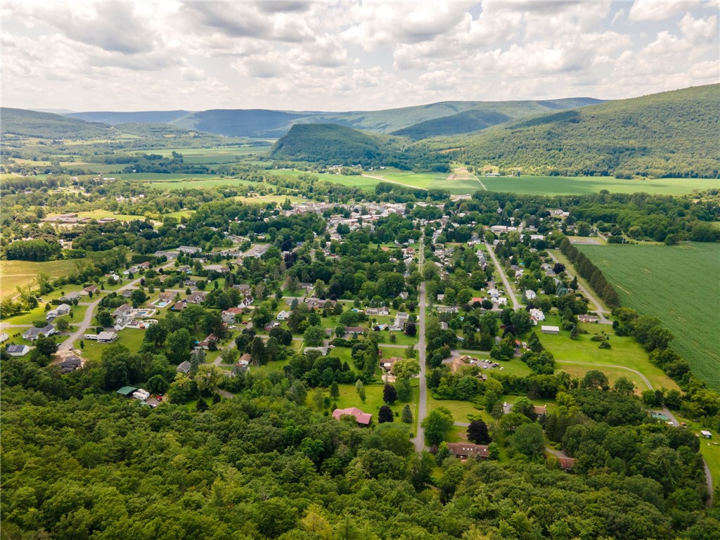 L16 Mt Path, Middleburgh, New York image 6