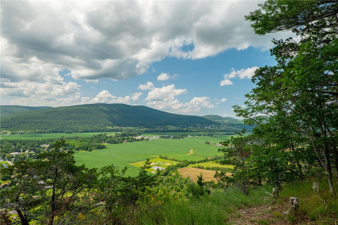 L16 Mt Path, Middleburgh, New York image 17