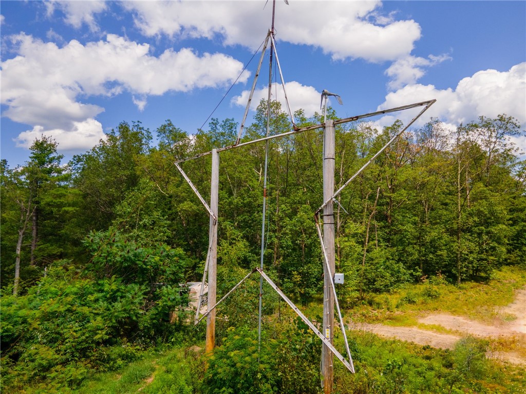 L16 Mt Path, Middleburgh, New York image 4