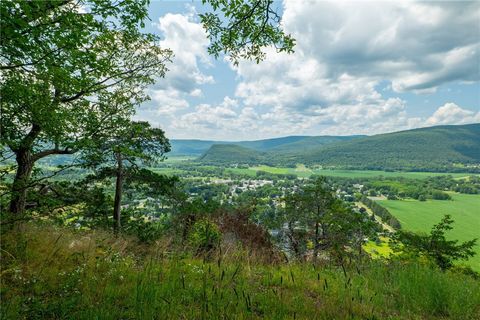 Vacant Land For Sale - L16 Mt Path<br/> Middleburgh, NY 12122