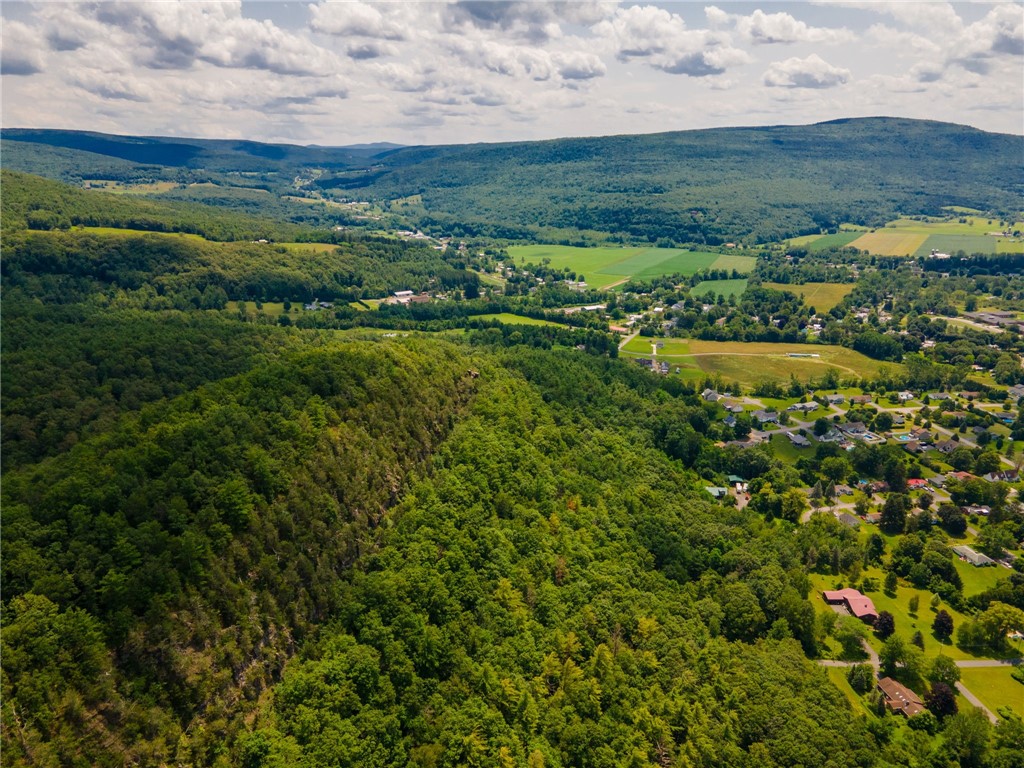 L16 Mt Path, Middleburgh, New York image 9