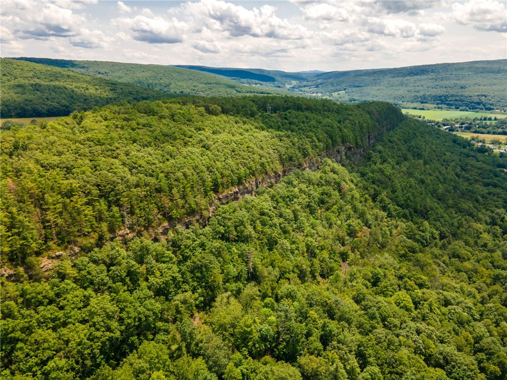 L16 Mt Path, Middleburgh, New York image 8