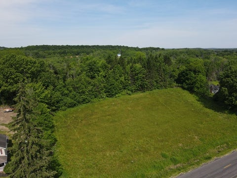 Vacant Land For Sale - Smith Road #680<br/> Manchester, NY 14522