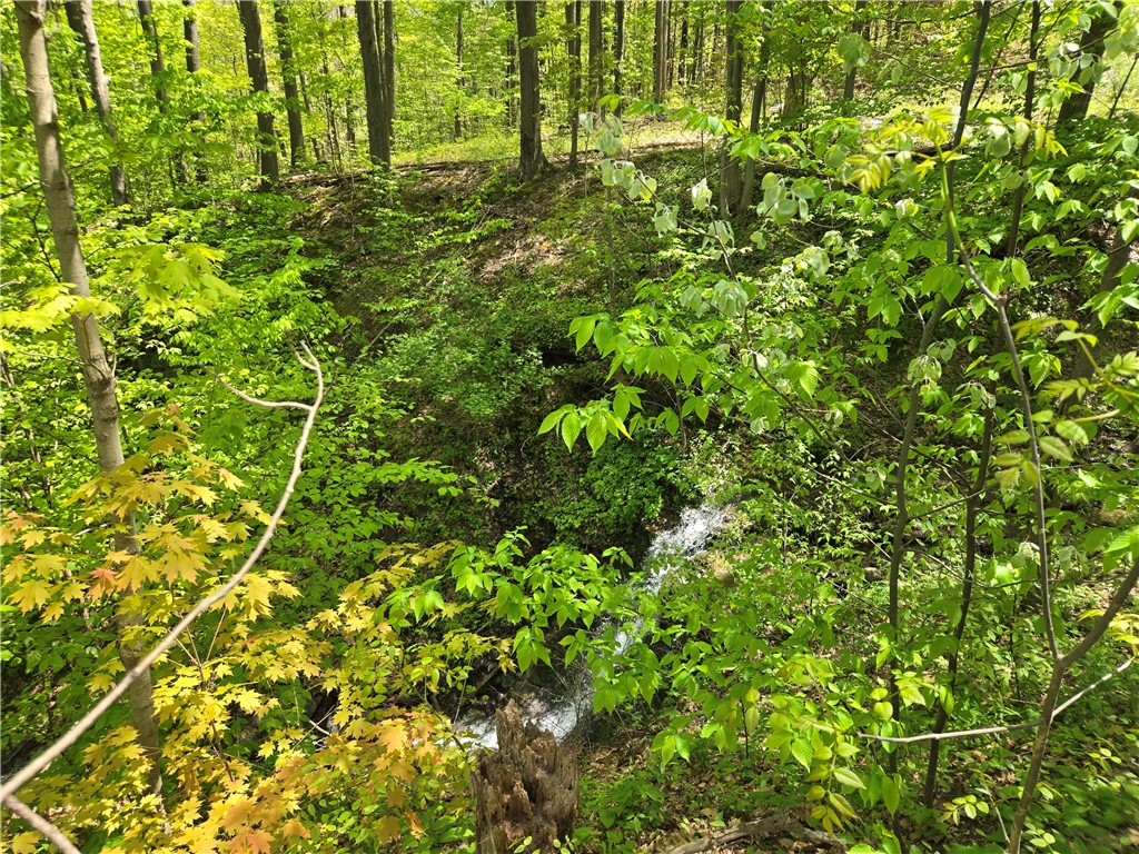 7451 Feather Street, Springwater, New York image 15