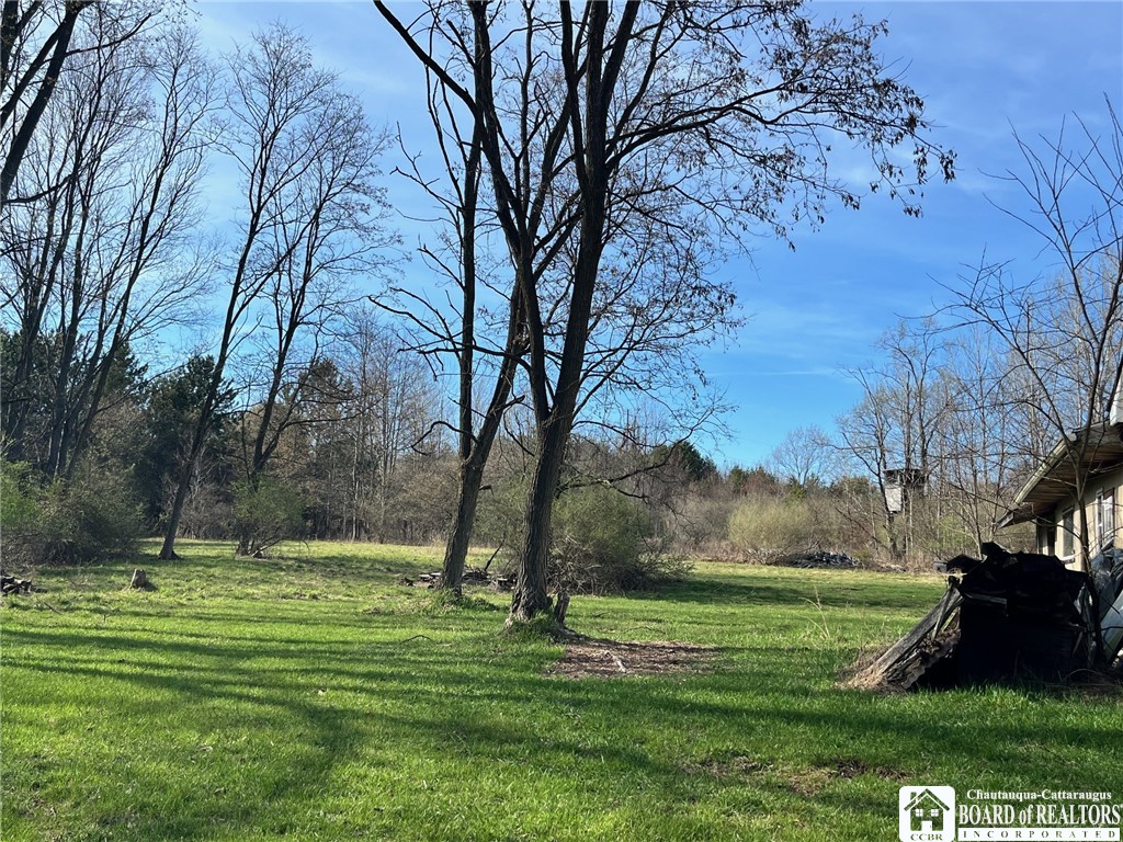 1029 Bushey Road, Hinsdale, New York image 6