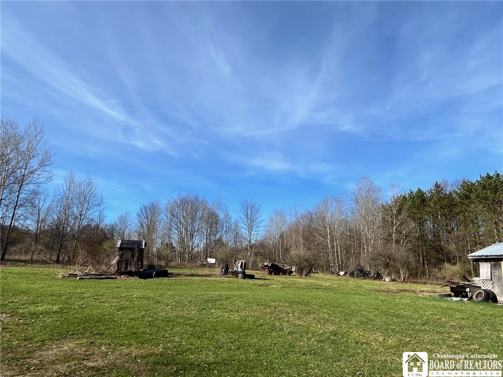 1029 Bushey Road, Hinsdale, New York image 10