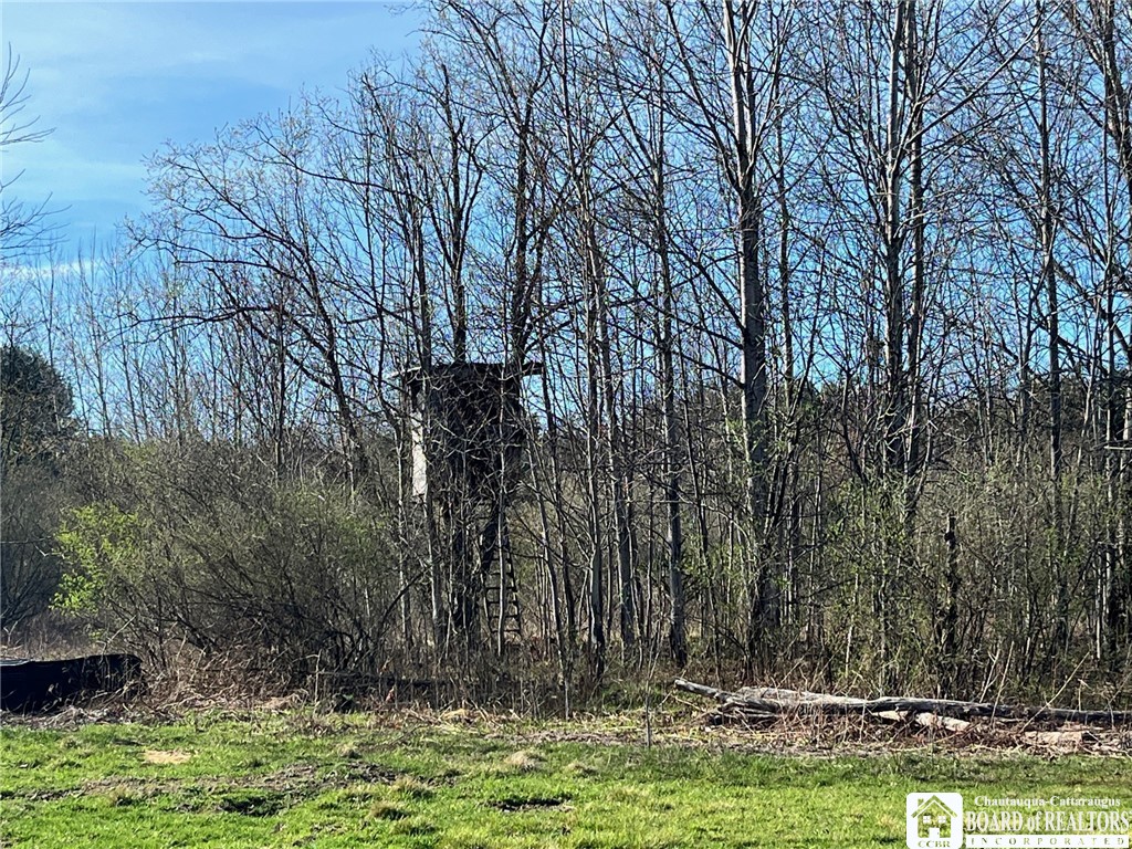 1029 Bushey Road, Hinsdale, New York image 11