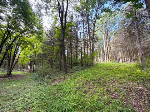 Tiny photo for 2 Dutton, Clarksville, NY 14727 (MLS # R1709341)