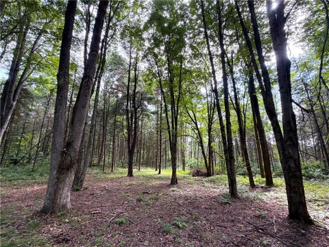 Tiny photo for 2 Dutton, Clarksville, NY 14727 (MLS # R1709341)