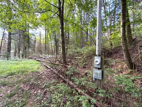 Tiny photo for 2 Dutton, Clarksville, NY 14727 (MLS # R1709341)
