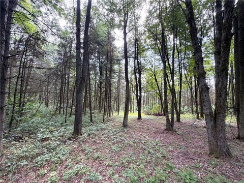 Tiny photo for 2 Dutton, Clarksville, NY 14727 (MLS # R1709341)