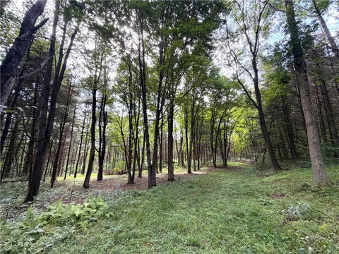 Tiny photo for 2 Dutton, Clarksville, NY 14727 (MLS # R1709341)