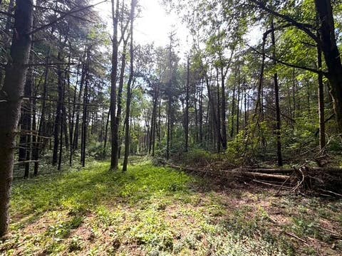 Tiny photo for 2 Dutton, Clarksville, NY 14727 (MLS # R1709341)