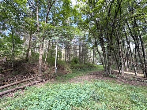 Tiny photo for 2 Dutton, Clarksville, NY 14727 (MLS # R1709341)