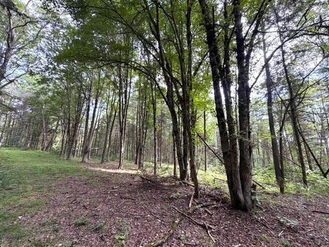 Tiny photo for 2 Dutton, Clarksville, NY 14727 (MLS # R1709341)