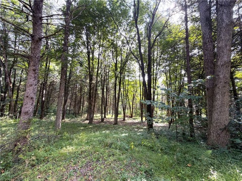 Tiny photo for 2 Dutton, Clarksville, NY 14727 (MLS # R1709341)