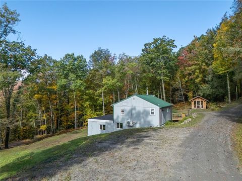 Homes For Sale - 605 Weaver Avenue<br/> Andes, NY 13731