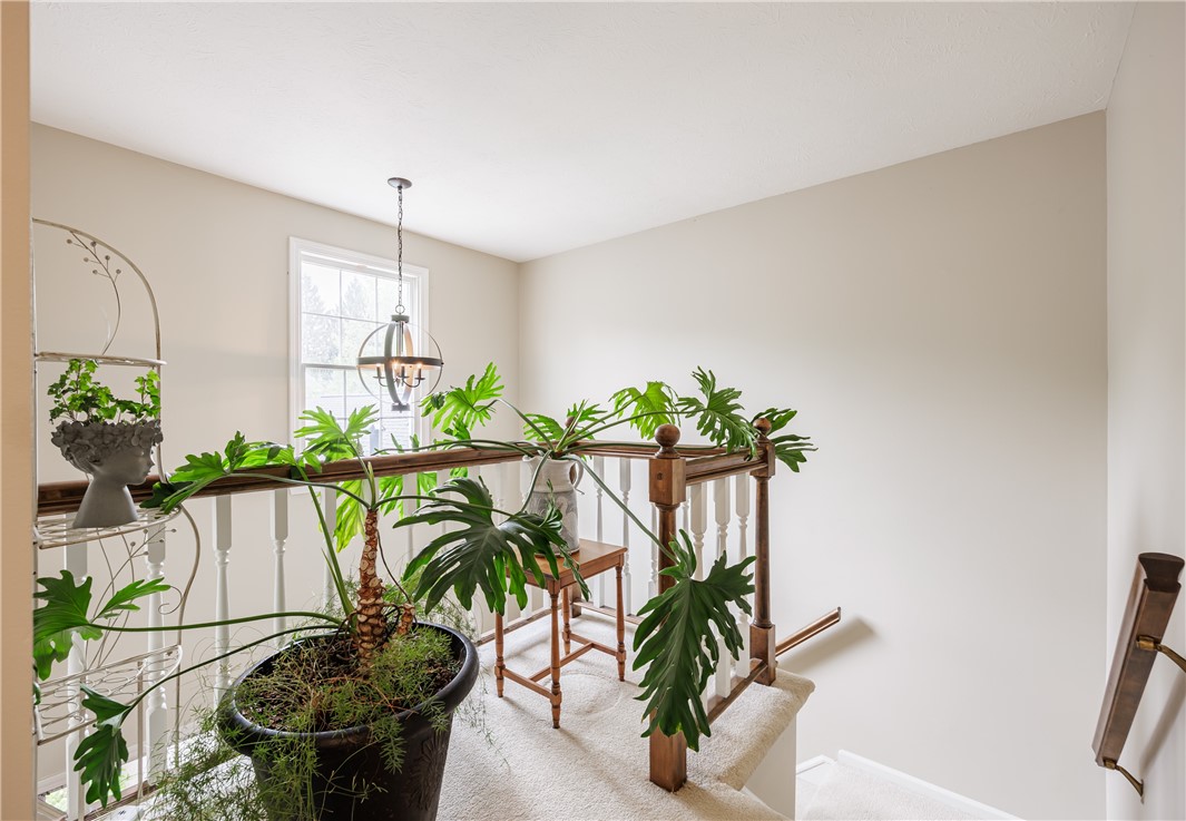55 Creek Ridge, Pittsford, New York image 13