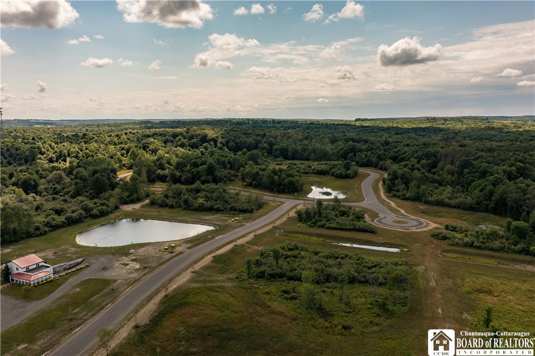 2 Mandolin Ridge, Chautauqua, New York image 3