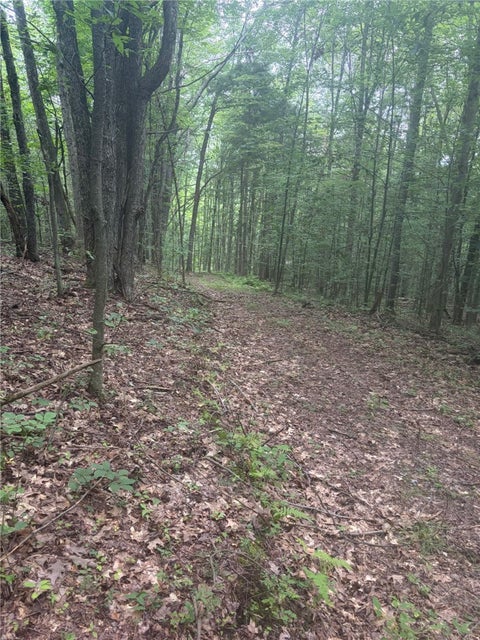 Tiny photo for 613 Randall Road, Orange, NY 14812 (MLS # R1706396)