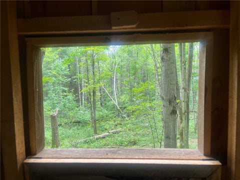 Tiny photo for 613 Randall Road, Orange, NY 14812 (MLS # R1706396)