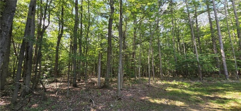Tiny photo for 613 Randall Road, Orange, NY 14812 (MLS # R1706396)