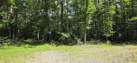 Tiny photo for 613 Randall Road, Orange, NY 14812 (MLS # R1706396)