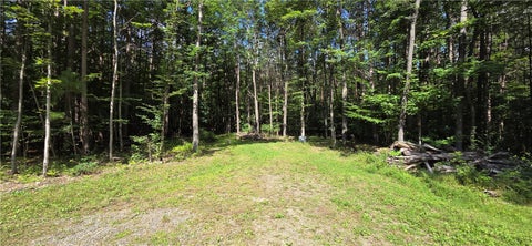 Tiny photo for 613 Randall Road, Orange, NY 14812 (MLS # R1706396)