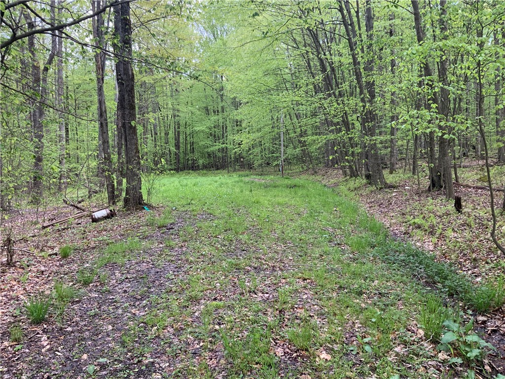 9548 Morris Lane, Clarksville, New York image 16