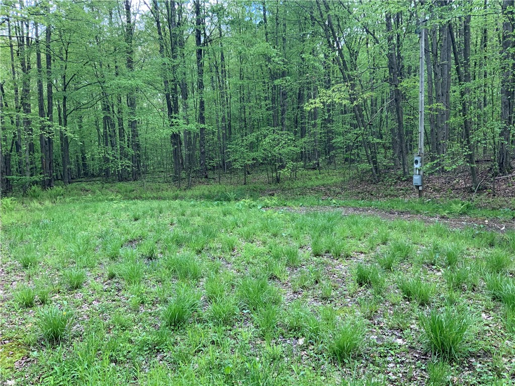 9548 Morris Lane, Clarksville, New York image 18