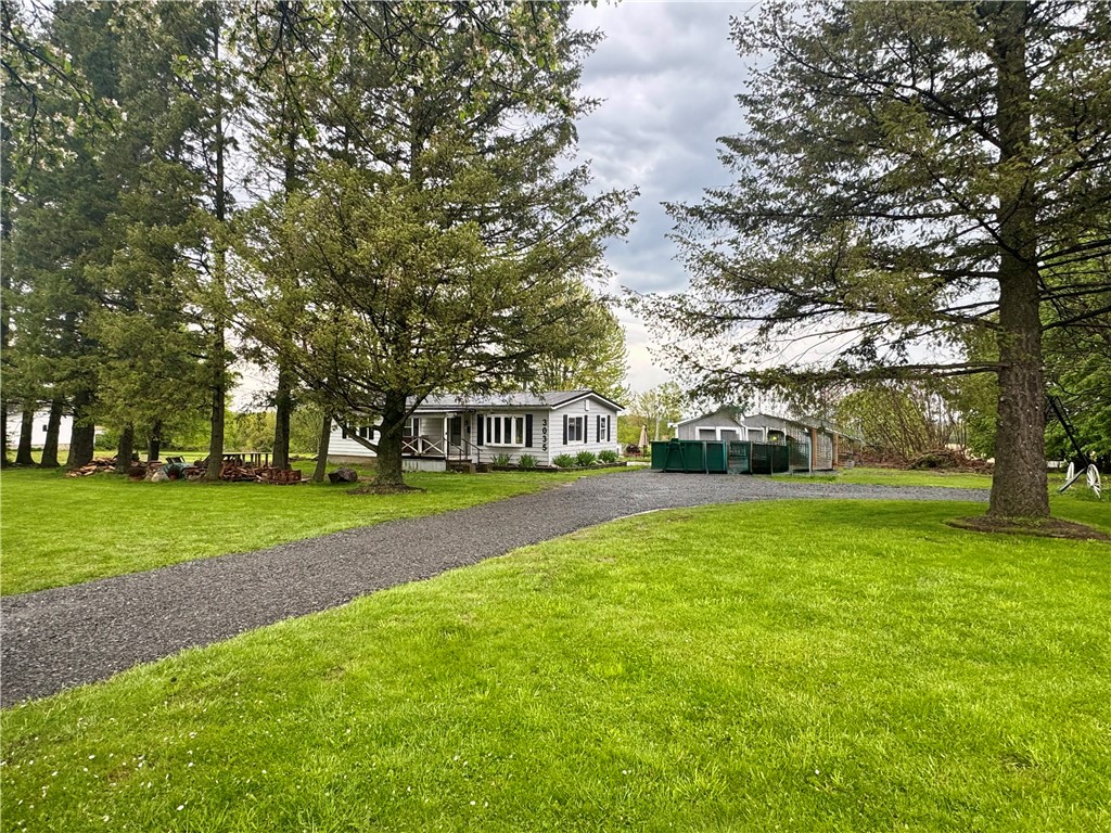 3035 County Road 6