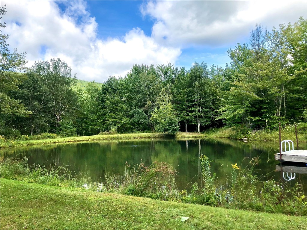 535 Autumn Breeze Road, Roxbury, New York image 38