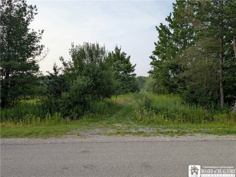 Photo for 2088 East Road