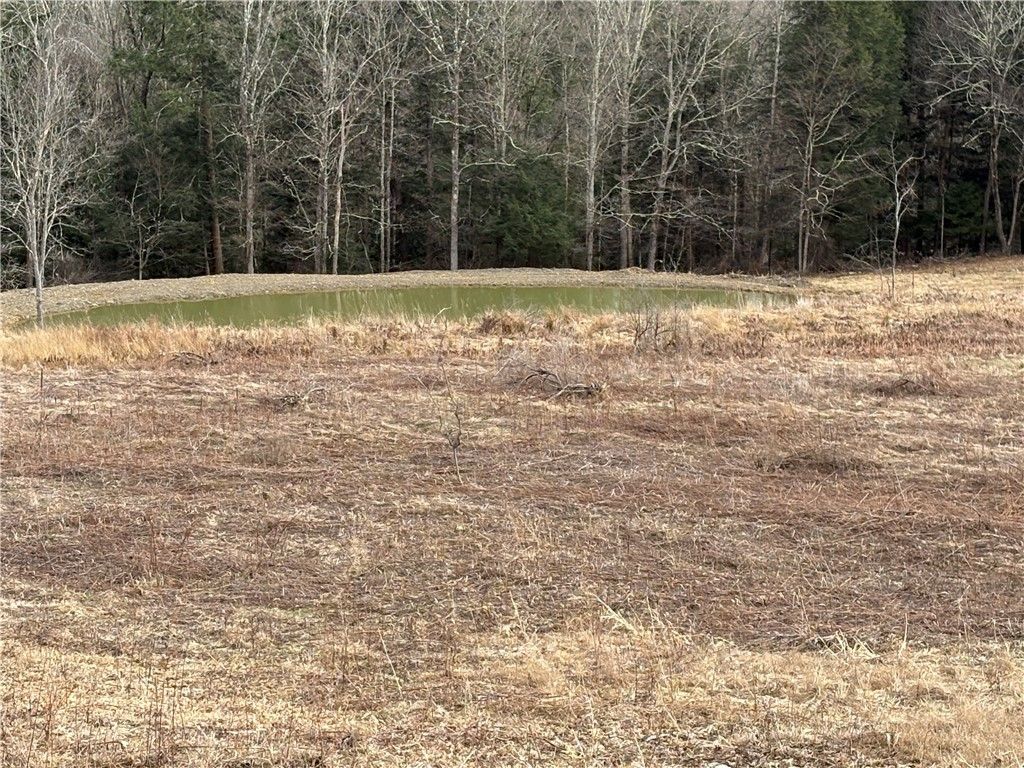 Photo of County Road 46 Lower Ravine Road, Norwich, NY 13815 (MLS # R1670128)