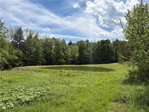Vacant Land For Sale - County Road 46 Lower Ravine Road<br/> Norwich, NY 13815