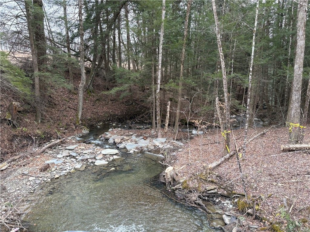 Photo of County Road 46 Lower Ravine Road, Norwich, NY 13815 (MLS # R1670128)