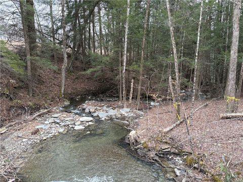 Vacant Land For Sale - County Road 46 Lower Ravine Road<br/> Chenango County, Norwich, NY 13815
