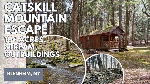 Photo of Lot 6.15 Little Beaver Creek Lane, Blenheim, NY 12093 (MLS # R1674502)