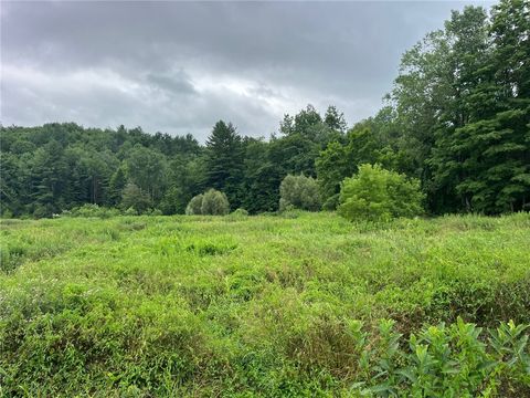 Tiny photo for 489 Route 62, Ellington, NY 14726 (MLS # R1660473)