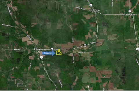 Tiny photo for 489 Route 62, Ellington, NY 14726 (MLS # R1660473)