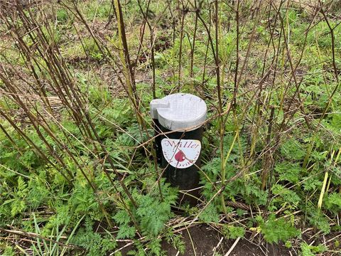 Tiny photo for 489 Route 62, Ellington, NY 14726 (MLS # R1660473)