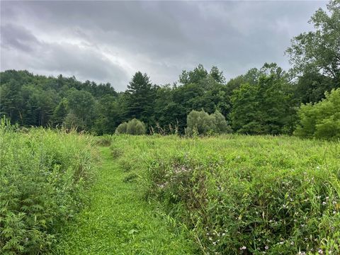 Tiny photo for 489 Route 62, Ellington, NY 14726 (MLS # R1660473)