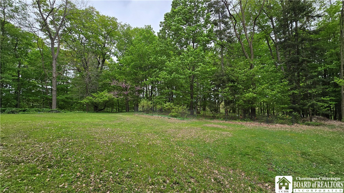 806 Weaver Road, Cherry Creek, New York image 32