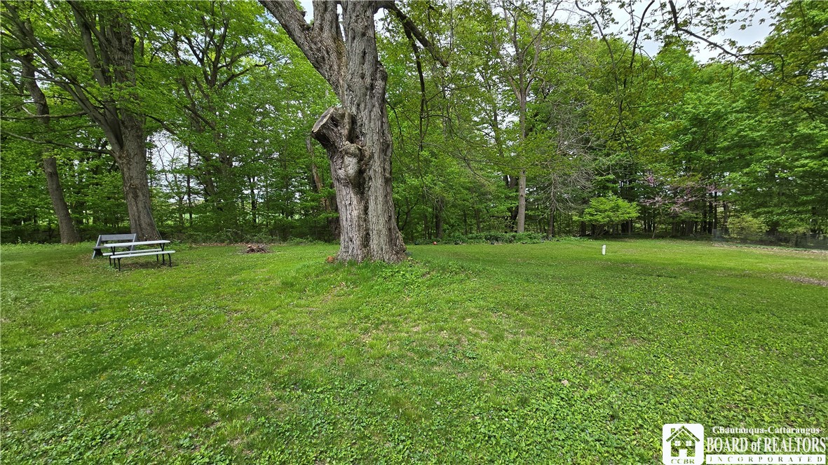 806 Weaver Road, Cherry Creek, New York image 28